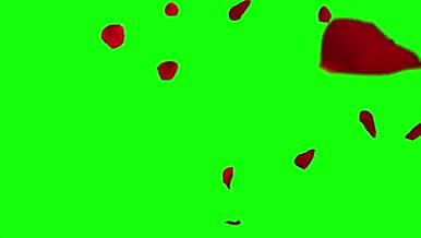 唯美浪漫红色玫瑰花瓣飘落散开绿屏视频素材视频的预览图